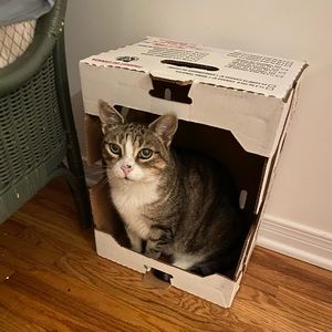 Meet your Posher, Goknur